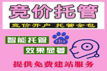 百度移动端广告运营推广案例分析